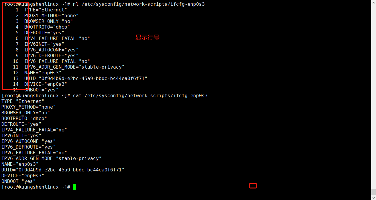 image-20231203213329323
