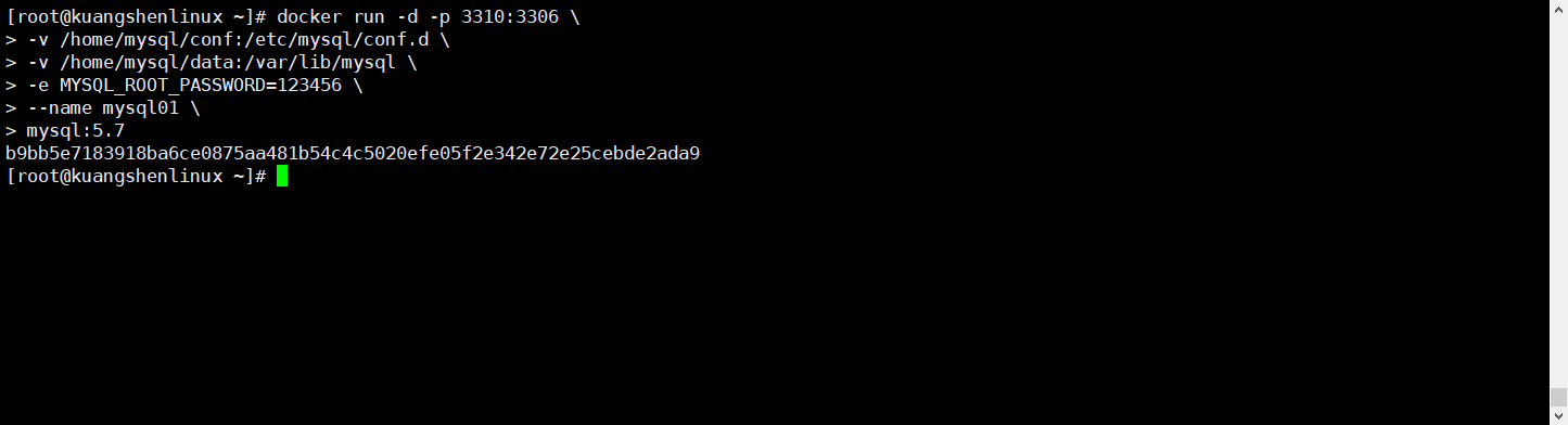 image-20231209214604910