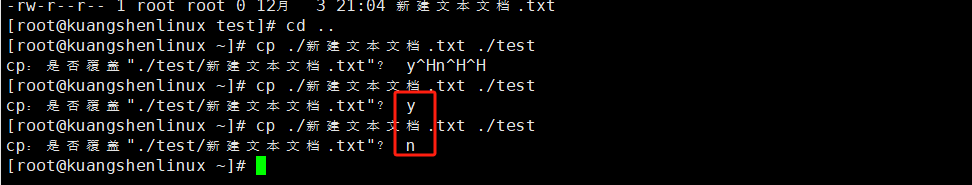 image-20231203210521700