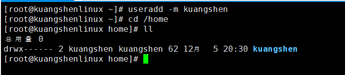 image-20231205203046640