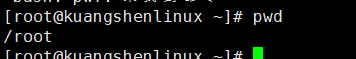 image-20231203205544782